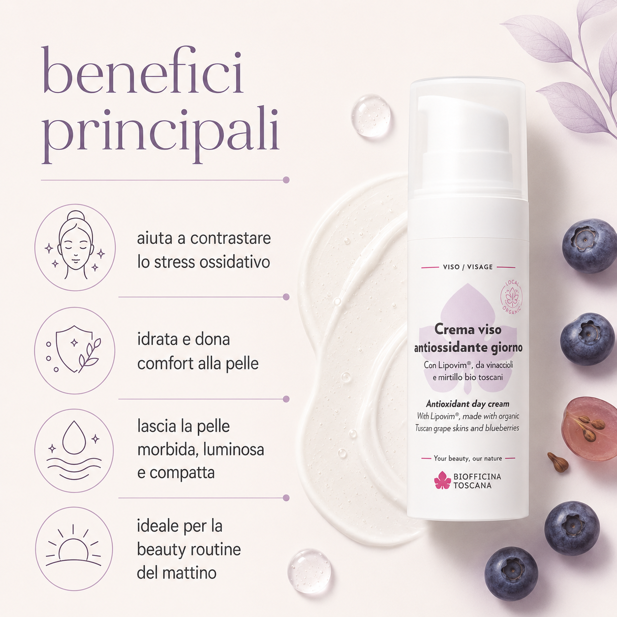 Biofficina Toscana-Crema Viso Antiossidante Giorno - immagine 2
